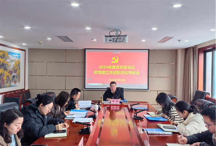 集团公司召开2024年度党支部书记抓党建工作述职评议会