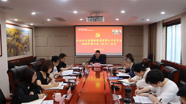 集团公司召开2025年第11次党委（扩大）会议