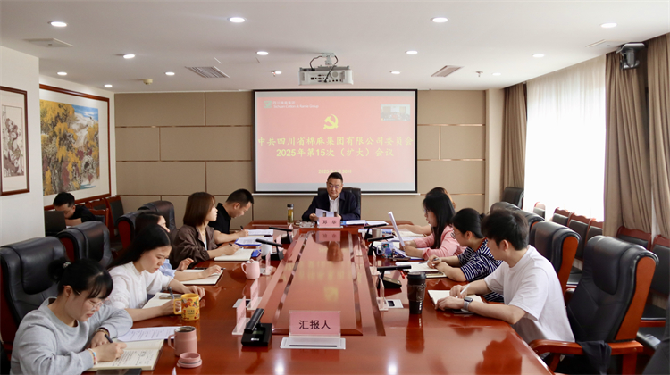 集团公司召开2025年第15次党委（扩大）会议