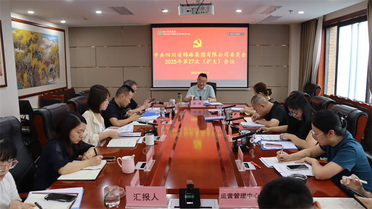 集团公司召开2025年第27次党委（扩大）会议