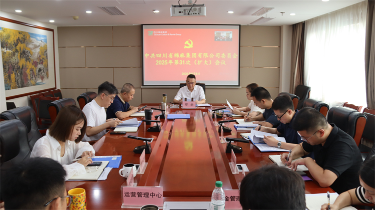 集团公司召开2025年第31次党委（扩大）会议